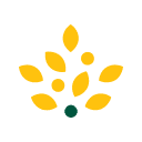 Morrisons logo